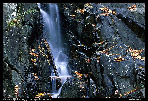 Cascade over dark rock with with fallen leaves. Shenandoah National Park, Virginia, USA.