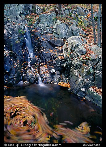 Cascade and circle of fallen leaves in motion. Shenandoah National Park (color)