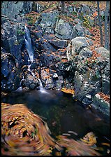 Cascade and circle of fallen leaves in motion. Shenandoah National Park, Virginia, USA.