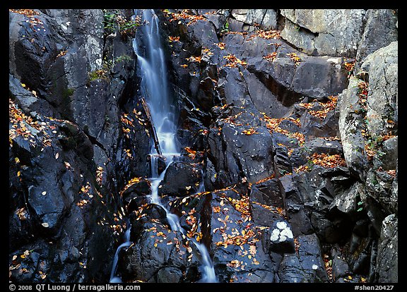 Stream cascading over dark rock in autumn. Shenandoah National Park (color)