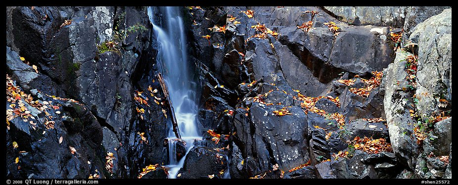 Cascade over dark rocks sprinkled with fallen autumn leaves. Shenandoah National Park (color)