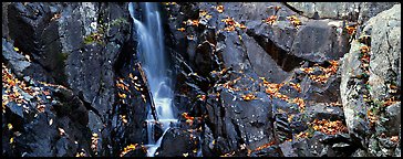 Cascade over dark rocks sprinkled with fallen autumn leaves. Shenandoah National Park (Panoramic color)