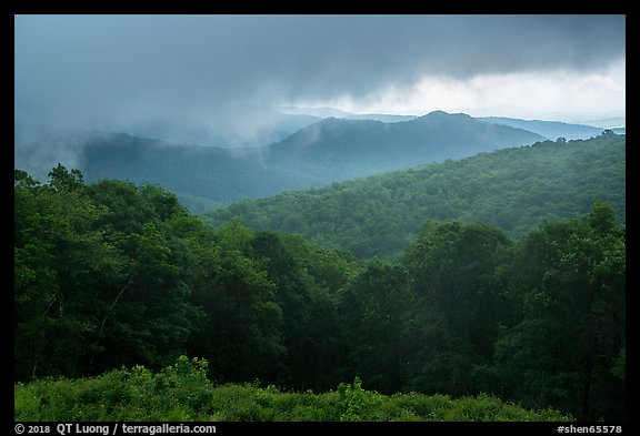 Forested ridges and approaching storm, Thornton Hollow Overlook. Shenandoah National Park (color)