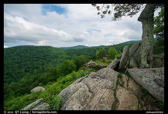 Rocky outcrop, Hazel Mountain Overlook. Shenandoah National Park, Virginia, USA.