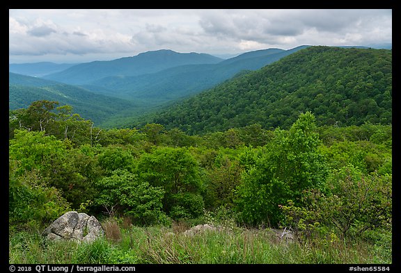 Jewell Hollow Overlook in spring. Shenandoah National Park, Virginia, USA.