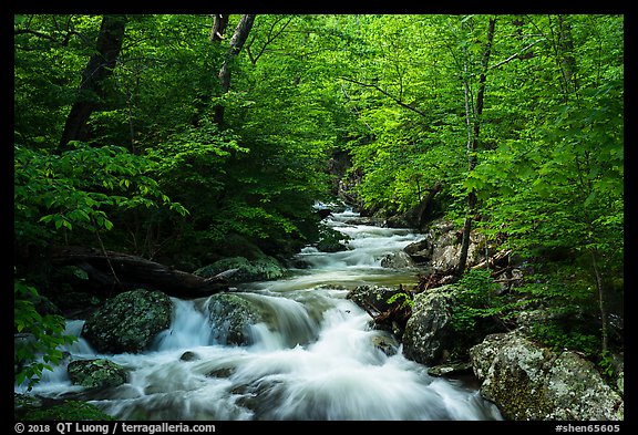 Robinson River in the spring. Shenandoah National Park, Virginia, USA.