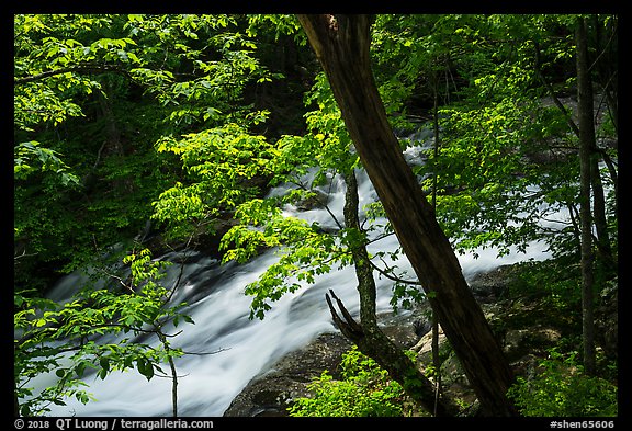 Robinson River cascades. Shenandoah National Park (color)