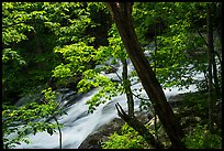 Robinson River cascades. Shenandoah National Park ( color)
