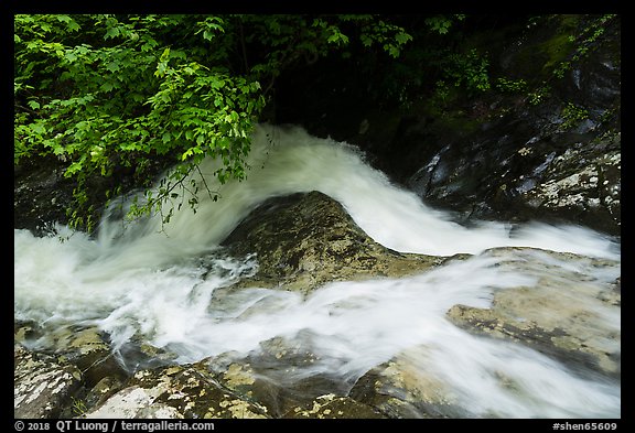 Robinson River whitewater in Whiteoak Canyon. Shenandoah National Park (color)