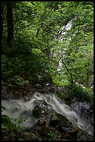 Converging Waterfalls in Whiteoak Canyon. Shenandoah National Park ( color)