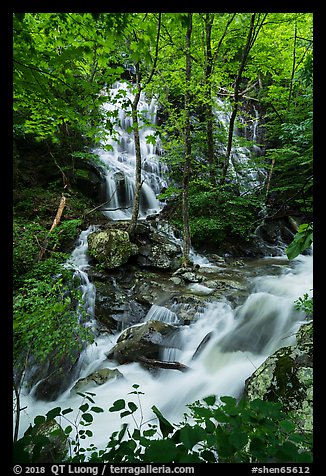 Waterfalls and stream, Whiteoak Canyon. Shenandoah National Park (color)
