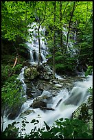 Waterfalls and stream, Whiteoak Canyon. Shenandoah National Park ( color)