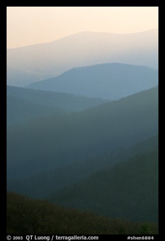 Receding ridges seen from Little Stony Man, sunrise. Shenandoah National Park (color)