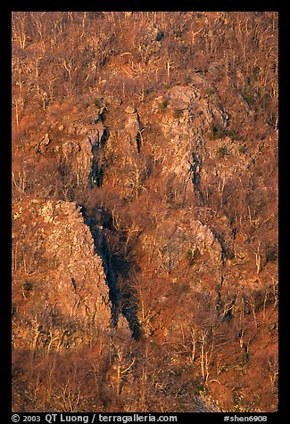 Bare trees and rocky outcrops on hillside near Little Stony Man. Shenandoah National Park (color)