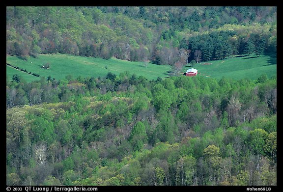 Barn in a meadow. Shenandoah National Park (color)
