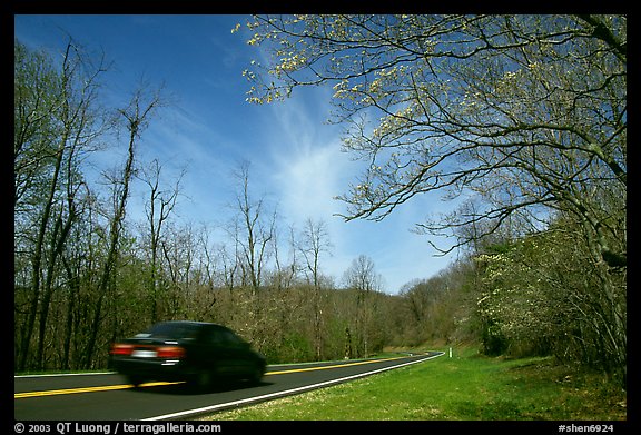 Car on Skyline drive. Shenandoah National Park (color)