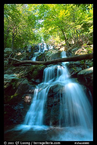 Dark Hollow Falls. Shenandoah National Park (color)
