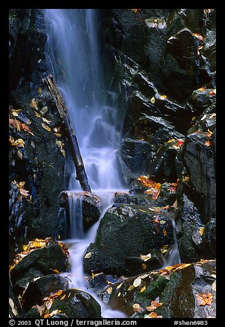 Cascade with fallen leaves. Shenandoah National Park, Virginia, USA.