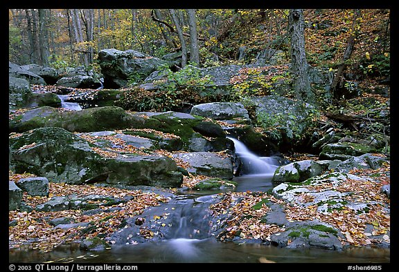 Hogcamp Branch of the Rose River. Shenandoah National Park, Virginia, USA.