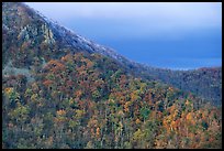 Hillside with fall colors, rocks, and early snow. Shenandoah National Park ( color)