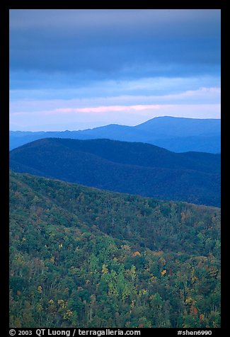 Hillside and receding ridges in autumn. Shenandoah National Park, Virginia, USA.