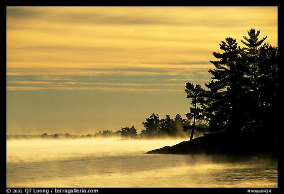 Fog lifting up in early morning and trees on shore of Kabetogama lake. Voyageurs National Park, Minnesota, USA.