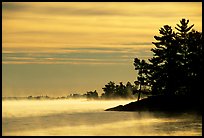 Fog lifting up in early morning and trees on shore of Kabetogama lake. Voyageurs National Park, Minnesota, USA. (color)