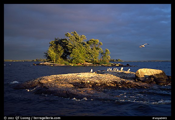 Islands and birds, Kabetogama Lake. Voyageurs National Park (color)