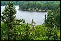 Peary Lake from overlook. Voyageurs National Park ( color)