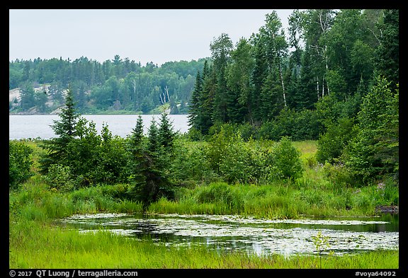Pond and Peary Lake. Voyageurs National Park, Minnesota, USA.