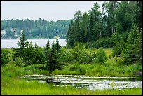 Pond and Peary Lake. Voyageurs National Park ( color)
