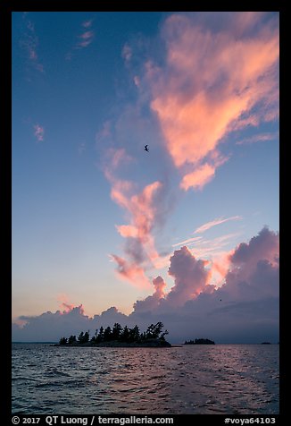 Bird, islets and clouds at sunset, Rainy Lake. Voyageurs National Park (color)
