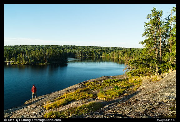 Visitor looking, Anderson Bay. Voyageurs National Park (color)