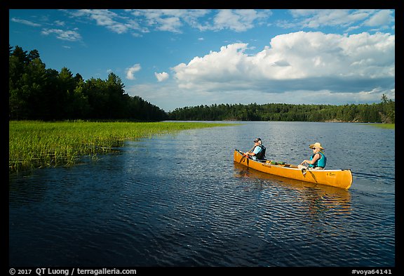 Canoe and aquatic grasses, Sand Point Lake. Voyageurs National Park, Minnesota, USA.