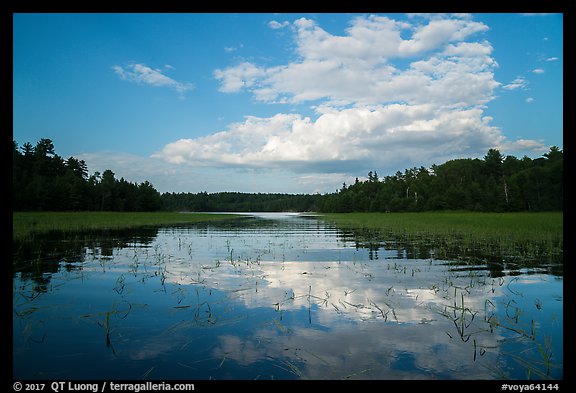 Reflections in glassy water of small arm of Sand Point Lake. Voyageurs National Park (color)