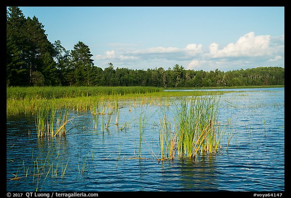 Northwest Bay, Crane Lake. Voyageurs National Park, Minnesota, USA.