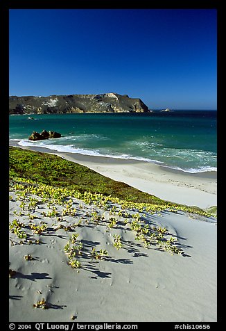 Sand dunes and Cuyler Harbor, afternoon, San Miguel Island. Channel Islands National Park (color)