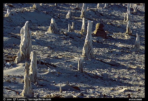 Petrified stumps of caliche, San Miguel Island. Channel Islands National Park (color)