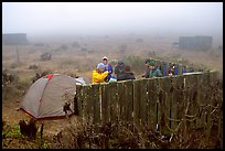 Campsite in typical fog, San Miguel Island. Channel Islands National Park, California, USA.