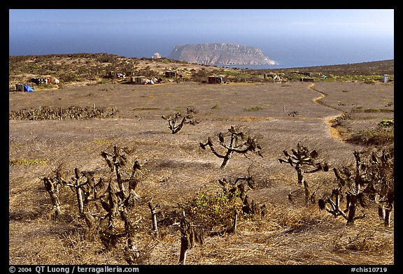 Campground, San Miguel Island. Channel Islands National Park (color)