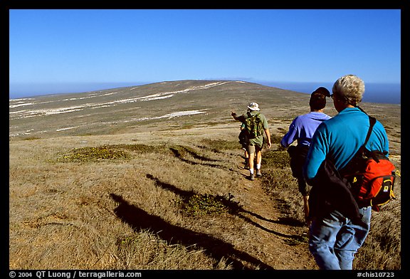 Hikers on  trail to Point Bennett, San Miguel Island. Channel Islands National Park (color)