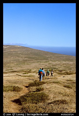 Hiking across  island to Point Bennett, San Miguel Island. Channel Islands National Park (color)