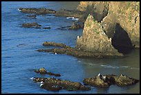 Rocky shoreline of Middle Anacapa Island. Channel Islands National Park, California, USA.