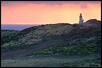 Lighthouse, East Anacapa Island. Channel Islands National Park, California, USA.