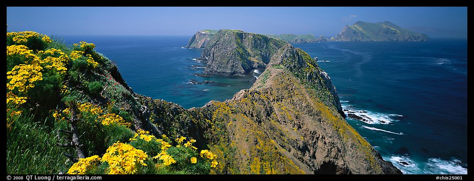 Coreopsis and chain of craggy islands, Anacapa Island. Channel Islands National Park (color)