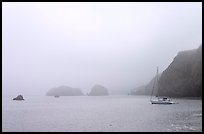 Yacht moored in Scorpion Anchorage in  fog, Santa Cruz Island. Channel Islands National Park, California, USA.