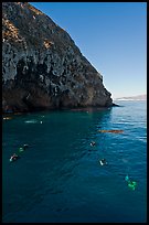 Scuba divers in cove below cliffs, Annacapa island. Channel Islands National Park, California, USA. (color)