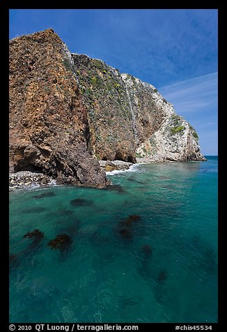 Kelp and cliff, Scorpion Anchorage, Santa Cruz Island. Channel Islands National Park (color)