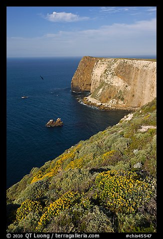 North Bluff, Santa Cruz Island. Channel Islands National Park (color)