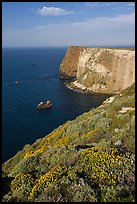North Bluff, Santa Cruz Island. Channel Islands National Park, California, USA. (color)